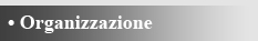 ORGANIZZAZIONE